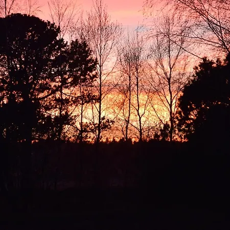 Ostmar - 1-2km From The Sea By Interhome Holiday home Saeby (Nordjylland)